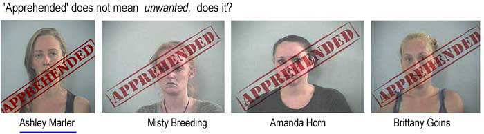 'Apprehended' does not mean unwanted, does it? Ashley Marler, Misty Breeding, Amanda Horn, Brittany Goins